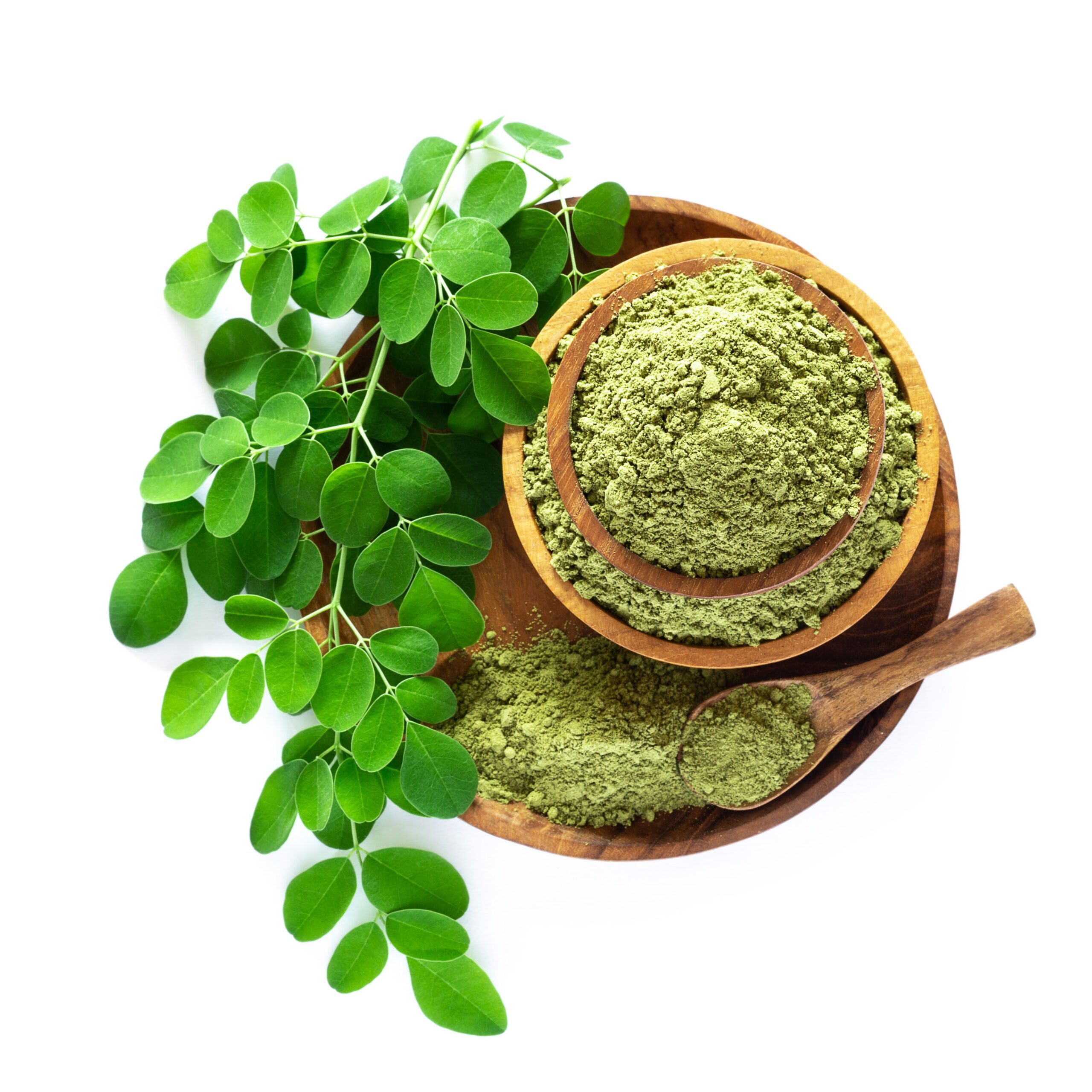 مورینگا اولیفرا سرشار از اسید کلروژنیک